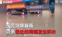 成都探店爆料事件视频,揭秘网红美食背后的真相